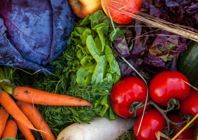 Salat, Gemüse, Obst, Karotte, Tomate, Kohl, Gurke, Rettich